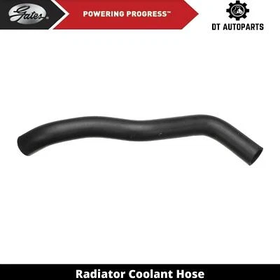 Manguera de refrigerante de radiador para Ford Crown Victoria 1995-1997 puertas superiores 1996 Foto 1 de 4