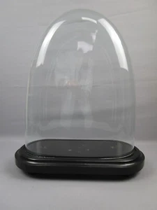 Cupola / Stolp in vetro con base in legno - altezza 50 cm - larghezza 42 cm - profondità 20 cm - ovale - Foto 1 di 24