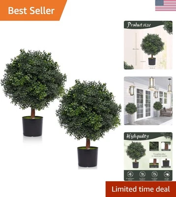 Arbustos topiarios de bolas de boj al aire libre sin mantenimiento - Juego de 2 plantas en macetas Foto 1 de 4