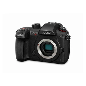 Panasonic Lumix GH5 S Body Art - Picture 1 of 5