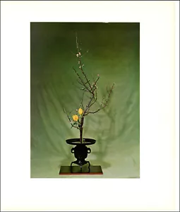 1965 Vintage Print Japanese Ikebana Style Flower Floral Tulip Cherry Blossom - Picture 1 of 3