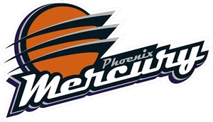 (NOT A PATCH) Phoenix Mercury Women's Basketball Heat Transfer Vinyl Iron On HTV - Picture 1 of 1