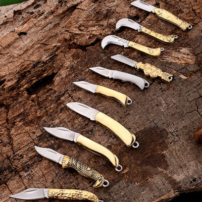 Mini faca de bolso dobrável de aço inoxidável pequena lâmina de chaveiro sobrevivência ao ar livre - Imagem 1 de 4