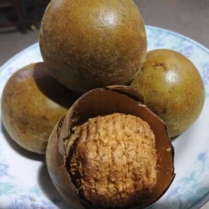 20 pz Luo Han Guo * Siraitia Grosvenorii Tè Frutta Essicca Frutta Assistenza Sanitaria - Foto 1 di 2