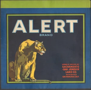 *Original* ALERT Sacramento San Joaquin Mountain Lion Crate Label KEINE KOPIE! - Bild 1 von 1