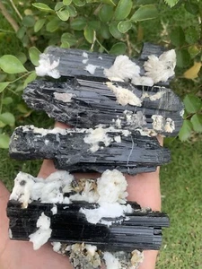 610 Gramm 4 Exemplare Konvolut Schorl Turmalin. - Bild 1 von 24