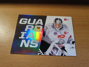 LED 21-22 2021-2022 GUARDIANS Niklas Treutle Nuremberg Ice Tigers