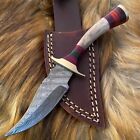 Custom Handmade Forged Damascus Steel Hunting Knife W/ Stag & Brass Guard Handle