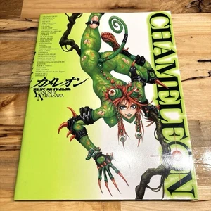 Chameleon: Yasushi Nirasawa Art Collection, Autographed, First Edition, Rockin
