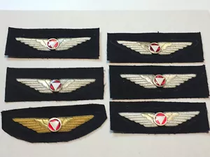 PILOTEN SCHWINGEN ÖSTERREICH LUFTWAFFE 1. REPUBLIK OFFIZIER BOUILLONSTICKEREI - Bild 1 von 10