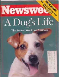 NEWSWEEK magazine-nov 1,1993-THE SECRET WORLD OF ANIMALS. - Picture 1 of 3