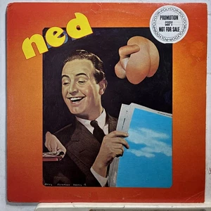 NED self-titled (1973) Southern Rock POLYDOR PD-5052 promo - Imagen 1 de 4