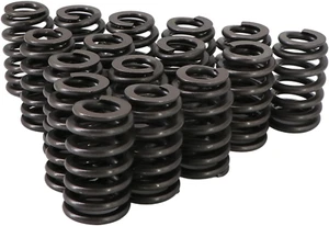 26906-16 LS6+ Valve Springs for LS Engines - Picture 1 of 12