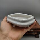 Ice Crack / Celadon Round-Corner Rectangular Glazed Mame Bonsai Pot 11.5x9x4.5CM