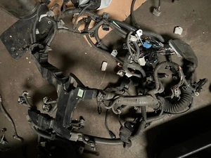 Used Engine Wiring Harness fits: 2007  Lexus ls460 Engine Wire Harness Grad - Picture 1 of 2