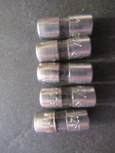 Five 5 BUSSMANN Buss AGA-1/4 Fuses 125V - Picture 1 of 7