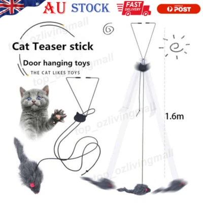 Retractable Cat Teaser Toy Hanging Interactive Cat Toys for Indoor Play Chase AU - image 1 of 4