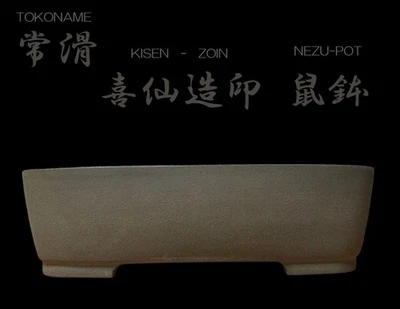 Japanese Bonsai pot TOKONAME NEZU Unglazed Rectangular shape LargeW39cm KISEN - Image 1 of 4