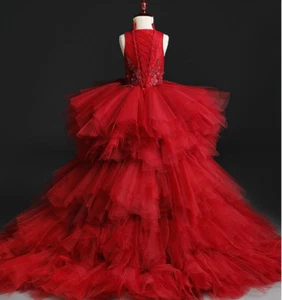 Appliques Tulle Kids Party Evening Gowns Trailing Lace Ball Gown Flower Dresses - Picture 1 of 23