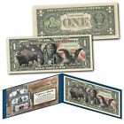 Americana Images Of Historical U.s. Currency $1 Bill * Bison - Indian - Eagle *