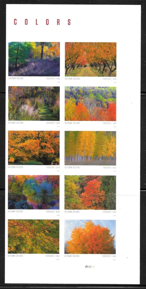 Scott #5938c IMPERFORATE (NO DIE-CUT) Autumn Colors, PLATE Block of 10 MNH - Image 1 of 1