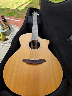 Guitarra acústica Breedlove de 12 cuerdas modelo AC250/SM-12 Foto 1 de 4