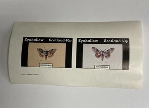 Reino Unido local Eynhallow Island mnh como nuevo nunca articulado par de polillas imperforadas - Imagen 1 de 1