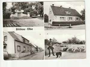 BITTKAU / Elbe...., 4 Ans. u.a. OdF-Ehrenmal, Rat der Gemeinde, Schafe....s/w AK - Picture 1 of 1
