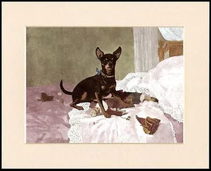 ENGLISH TOY TERRIER NAUGHTY LITTLE DOG LOVELY PRINT MOUNTED READY TO FRAME - Picture 1 of 1