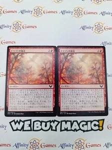 MTG | Dragon's Approach | STX | Regular | Moderately Played | Japanese - Picture 1 of 2