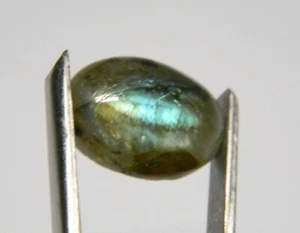 13.17 Carats Natural Multicolor Labradorite Cabochon Gemstone Oval MLB24 - Picture 1 of 4