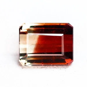 2.81 Ct Octagan 9.1 x 7.1 MM 100% Natural Bi Color Mozambique Bi Col Tourmaline - Picture 1 of 5