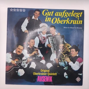 🎶 Gut aufgelegt in Oberkrain 12 LP Vinyl AVSENIK  00182 🎶 - Bild 1 von 4