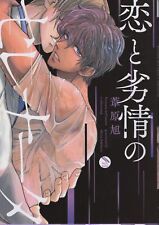 Japanese Manga Nihon Bungeisha MeltyBullet Asahi Ashihara !!) Serenata of lo...