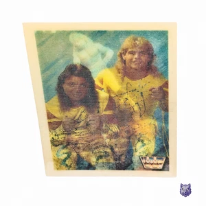 WWF Hasbro Pack-In Hologramm • The Rockers Shawn Michaels Marty Jannetty • NM - Bild 1 von 6