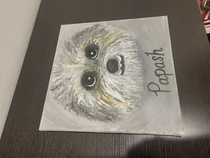12 X 12 Canvas Painting Dog Papash Grey Black White and Hints of Yellow - Picture 1 of 6