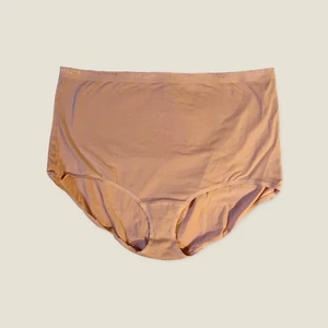 Lane Bryant Cacique Cotton High Waist Brief Wide Waistband Panty 34/36 (3818) - Picture 1 of 1