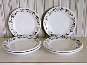 Set Of 6 Shenango Rimrol Dogwood Vintage Restaurant Ware China 6-3/4" Plates - Picture 1 of 10