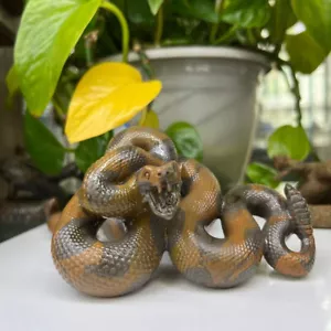 Pietra Soldi Naturale 3,6" Teschio Quarzo Cristallo Intagliato Il Serpente Reiki Guarigione - Foto 1 di 11