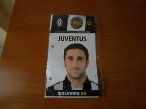LA COLLEZIONE UFFICIALE JUVENTUS 2007-08SPILLA n.19-MOLINARO - Picture 1 of 1