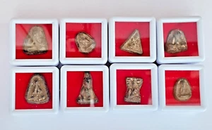 8 Amulette Thaï Bouddha Divinité Ganesh coffret talisman en bronze Thaïlande CO - Picture 1 of 35