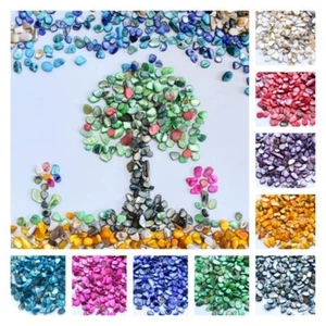 250g Naturel Mer Coque Mosaïque Tuiles Arts Crafts Matériel Divers Irrégulière - Afbeelding 1 van 15
