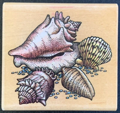 Rubber Stampede Seashells Beach Conch Scallop Rubber Stamp - Image 1 of 4