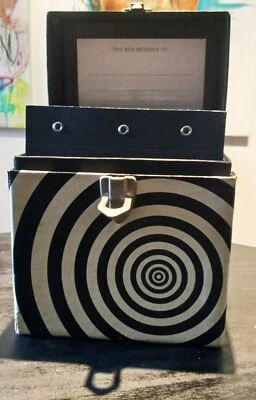 The Smashing Pumpkins The Aeroplane Flies High 5-CD Box Set  - Image 1 of 4