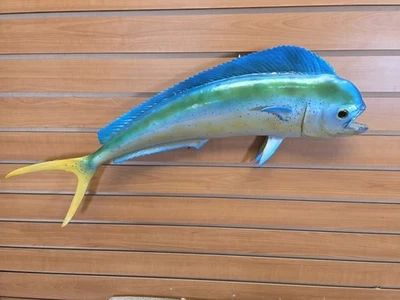 Reprodução JVBH50 peixe golfinho Mahi Mahi 27" taxidermia - Imagem 1 de 4