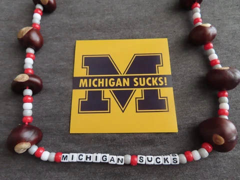 Ohio State Buckeyes MICHIGAN SUCKS Handmade Necklace + Sticker Cover