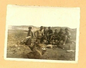 GUERRE D' ALGERIE / PHOTO / GROUPE SOLDATS - Picture 1 of 1
