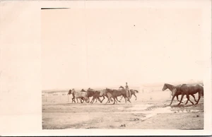 Postcard Real Photo RPPC Wild Horses Being Herded Unposted - Picture 1 of 2