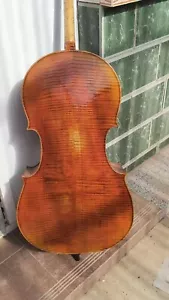 Top Grade 4/4 Cello Solid Flamed Maple Back old Spruce Top Powerful Sound - Picture 1 of 5