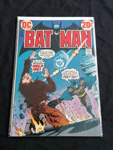 Batman #248 - DC Comics - April 1973 - Erstdruck - Bild 1 von 1